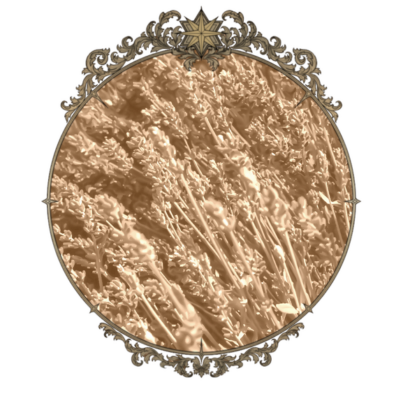 A sepia colored photo of lavender in a tarnished brass frame.