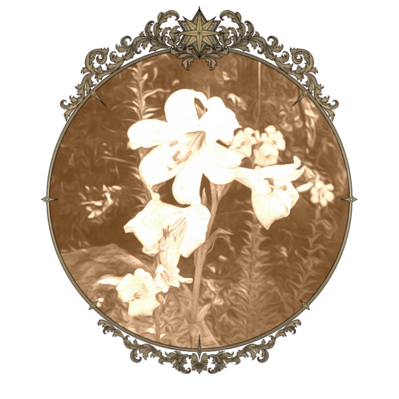 A sepia colored photo of stargazer lillies in a tarnished brass frame.