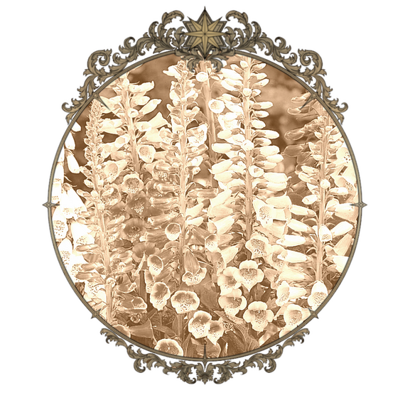 A sepia colored photo of foxgloves in a tarnished brass frame.