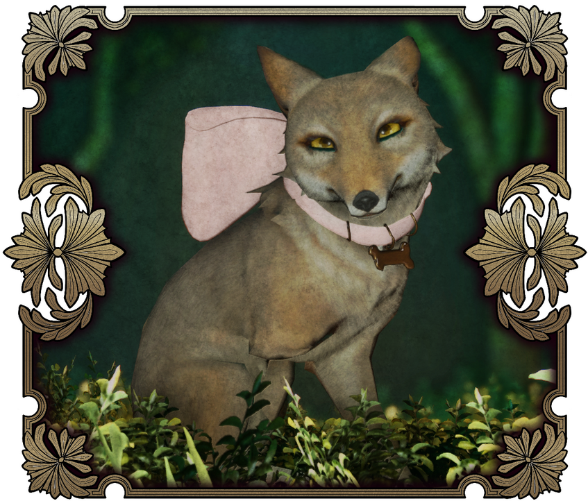 A photo of Tuirne in a square tarnished brass frame. She is a small brown coyote missing her front right leg. She has a pink collar with a big bow on the back and a gold-colored name tag. She looks at the camera eagerly, sitting in the grass.